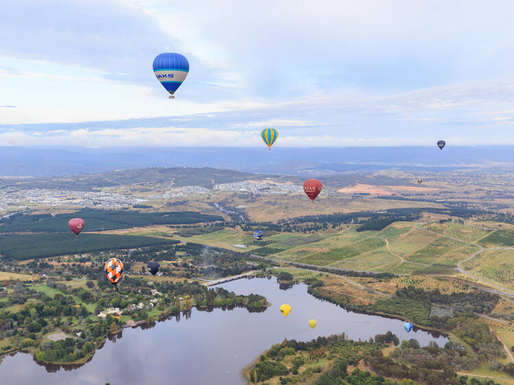 Experience the Canberra Balloon Spectacular