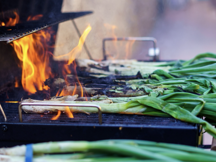 Barbacoes a prop de Barcelona per fer una calçotada