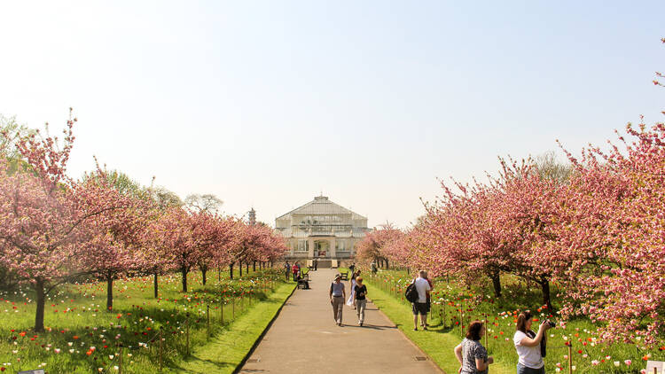 Kew Gardens, London