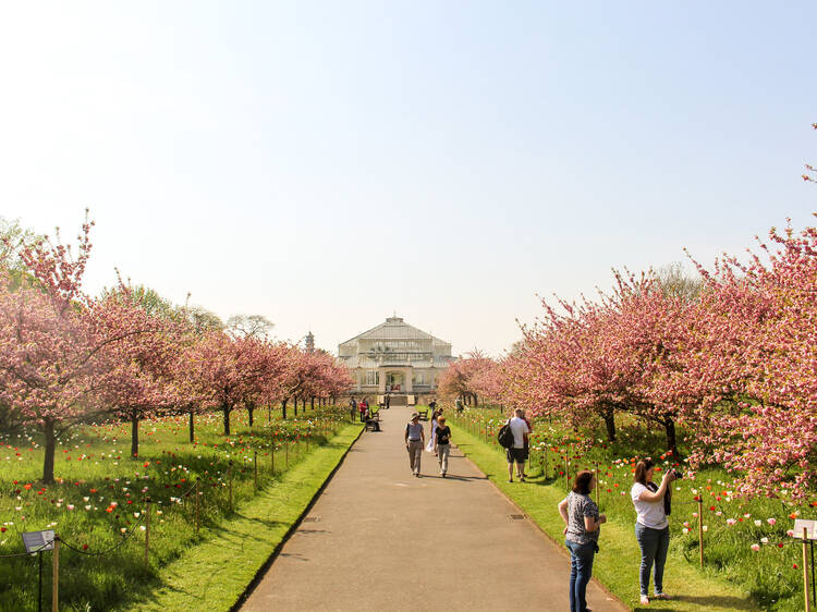 Kew Gardens, London