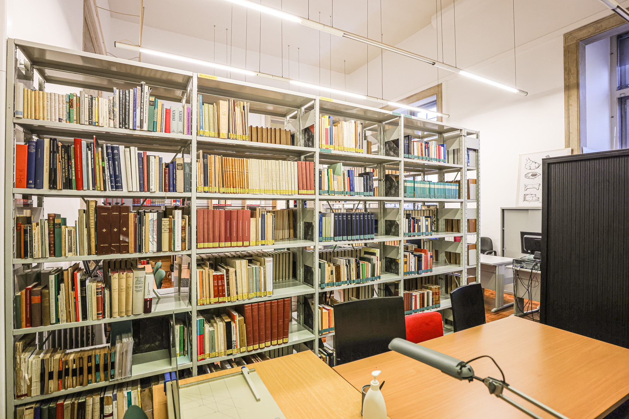 Depois de quase dois anos fechada, Biblioteca de Arqueologia está pronta a abrir portas