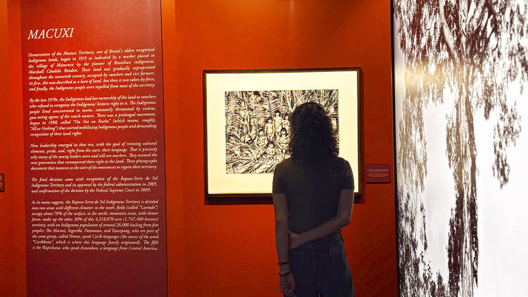 Amazônia, de Sebastião Salgado