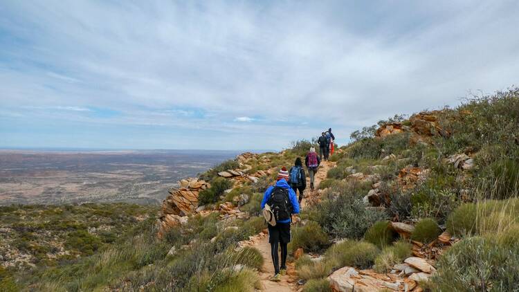 Conquer the Larapinta Trail on a hiking tour