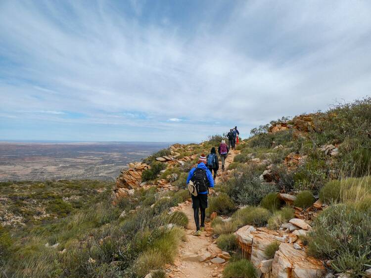 Conquer the Larapinta Trail on a hiking tour