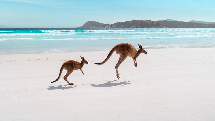 Lucky Bay, WA