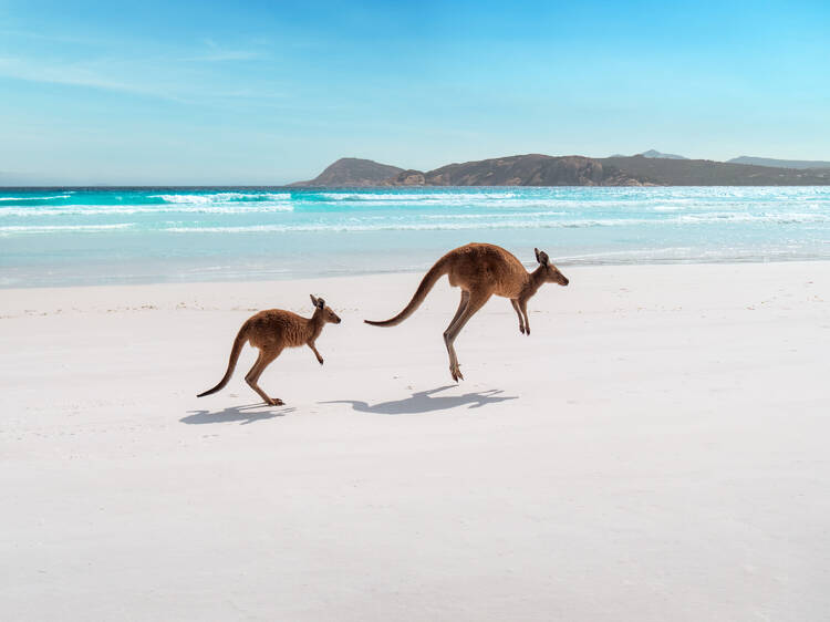 Lucky Bay, WA