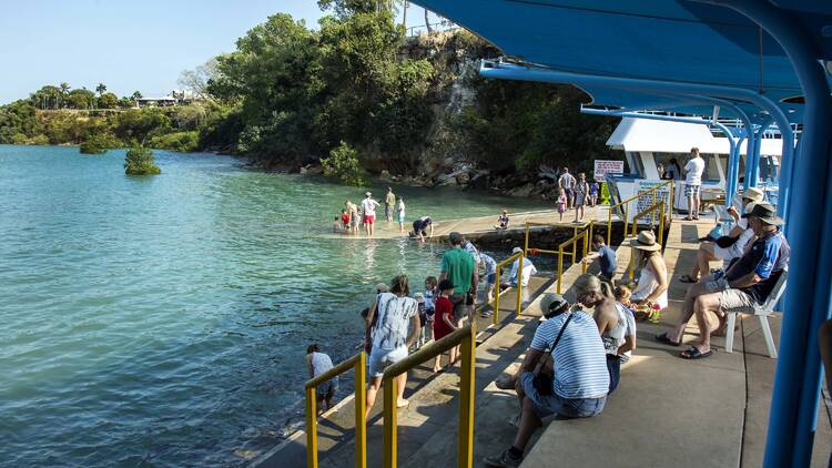 Feed the fish at Aquascene