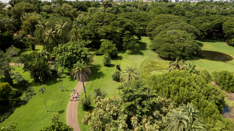 Wander around the botanic gardens