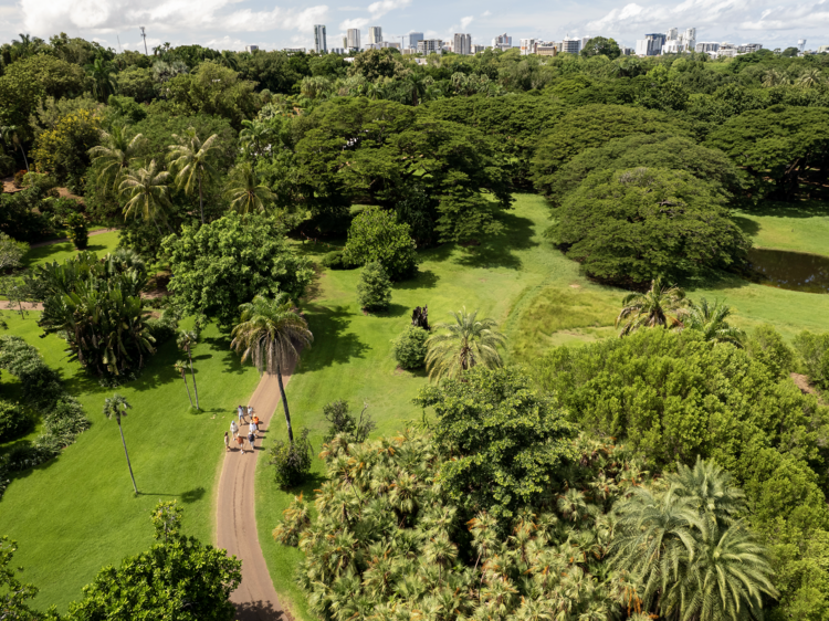 Wander around the botanic gardens