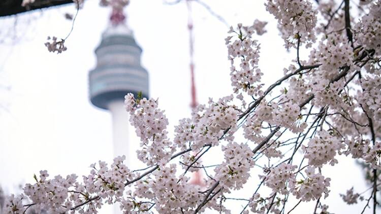 Seoul: Namsan