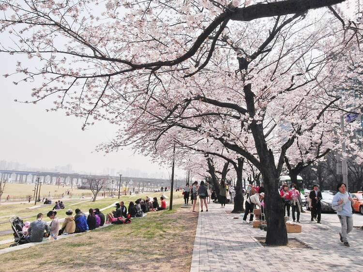 Seoul: Yeouido Park