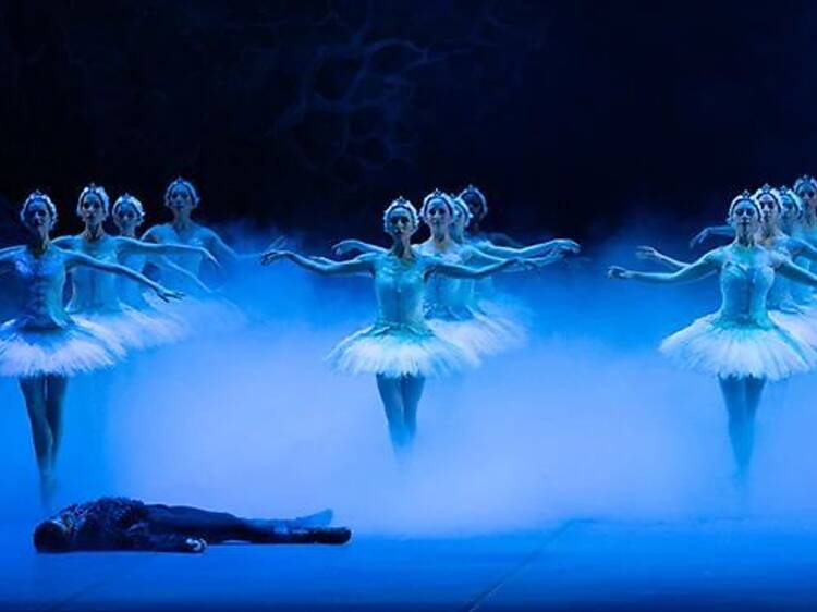 Boston Ballet's Swan Lake