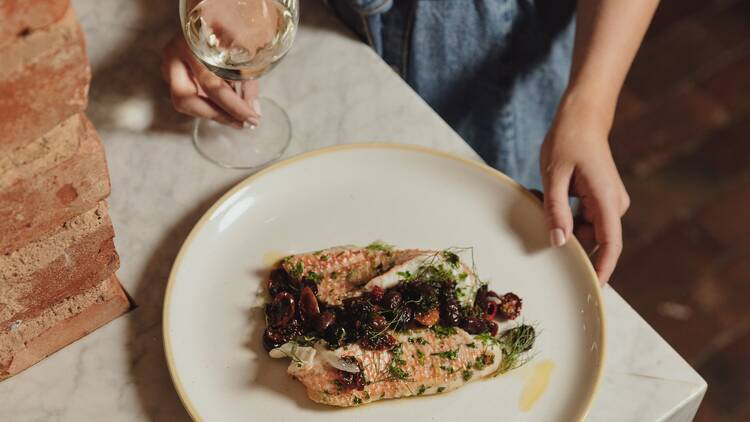 Fish on white plate with white wine