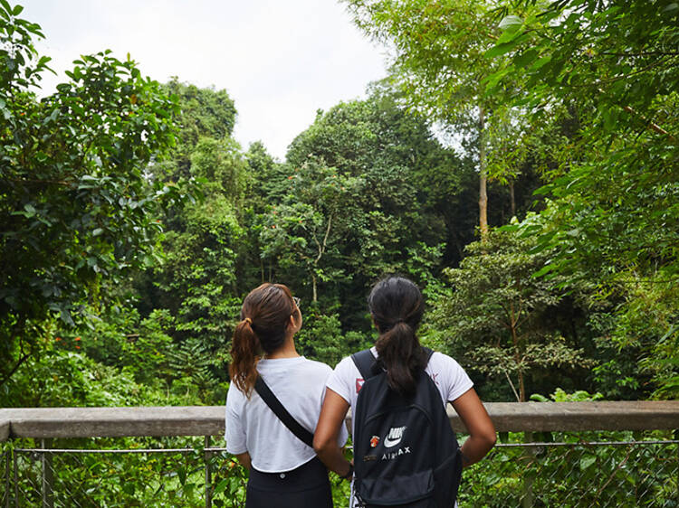 Dairy Farm Nature Park