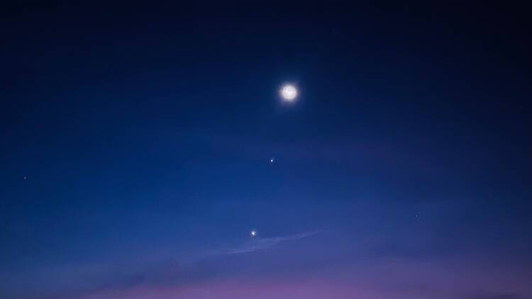 Moon and planets in the night sky