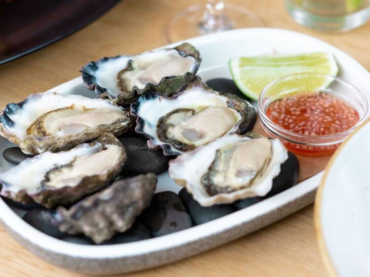 Garfish Manly Garfish Manly