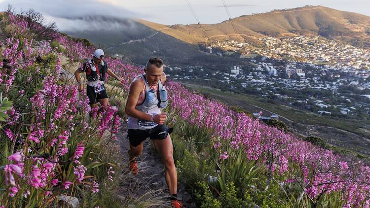 Ultra-Trail Cape Town UTCT