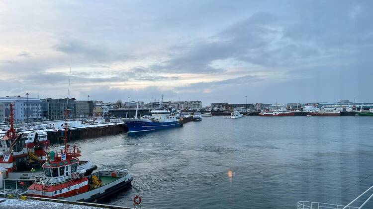 Reykjavik Edition rooms with a view