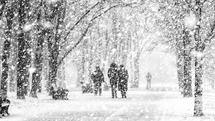 End-of-the-week storm to bring up to 25 cm of heavy snow to Montreal