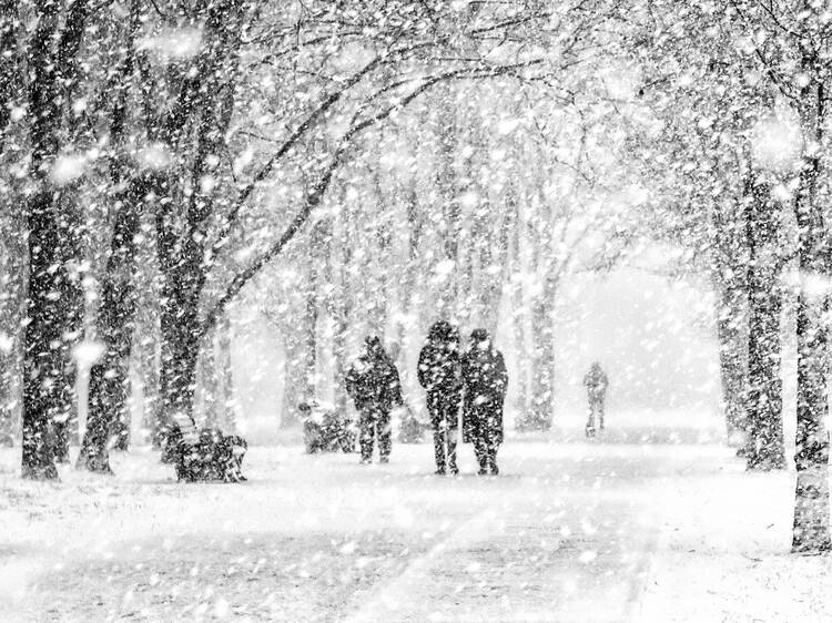 Tempête de fin de semaine : jusqu'à 25 cm de neige lourde attendus à Montréal