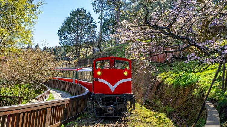 Alishan Forest Railway, Taiwan