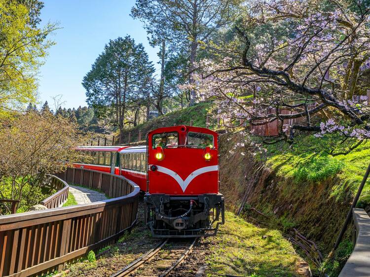 Alishan Forest Railway, Taiwan