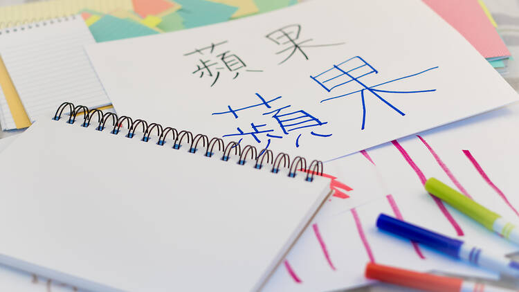 Adult Beginner Mandarin Class