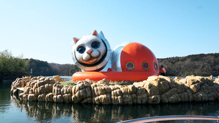 宇宙猫の秘密の島