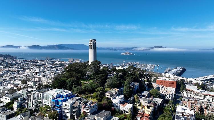 20 best things to do in the Bay Area