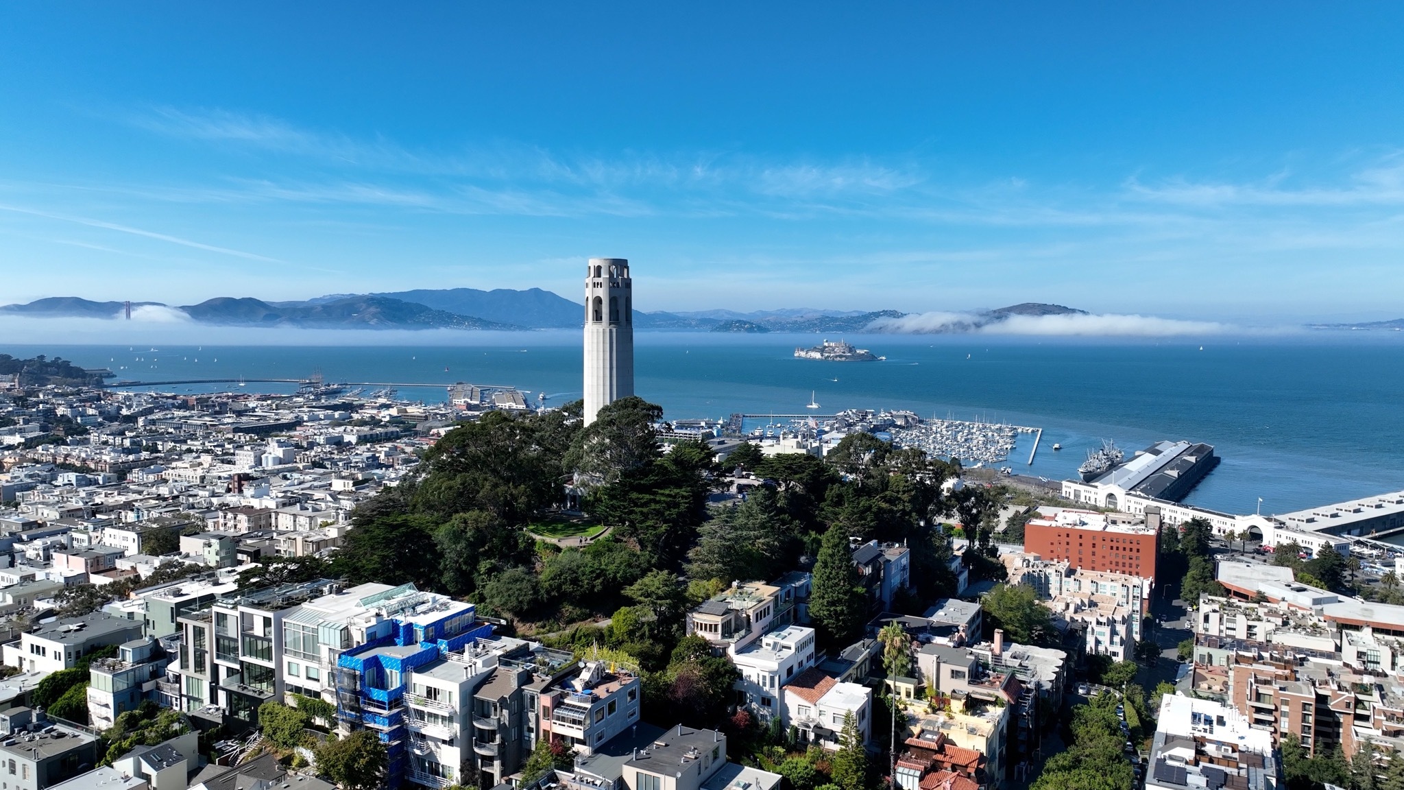 20 Best Things to Do in the Bay Area - Time Out
