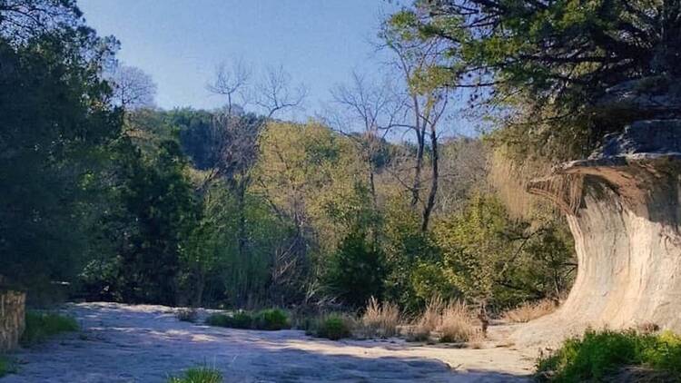 Austin Nature and Science Center Trails