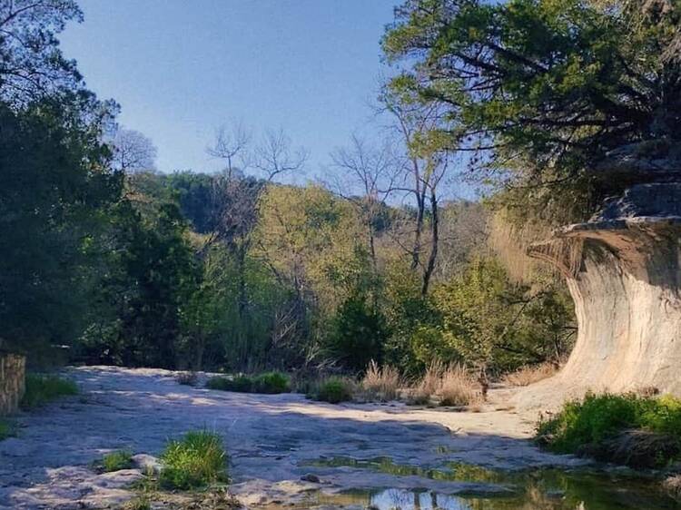 Austin Nature and Science Center Trails