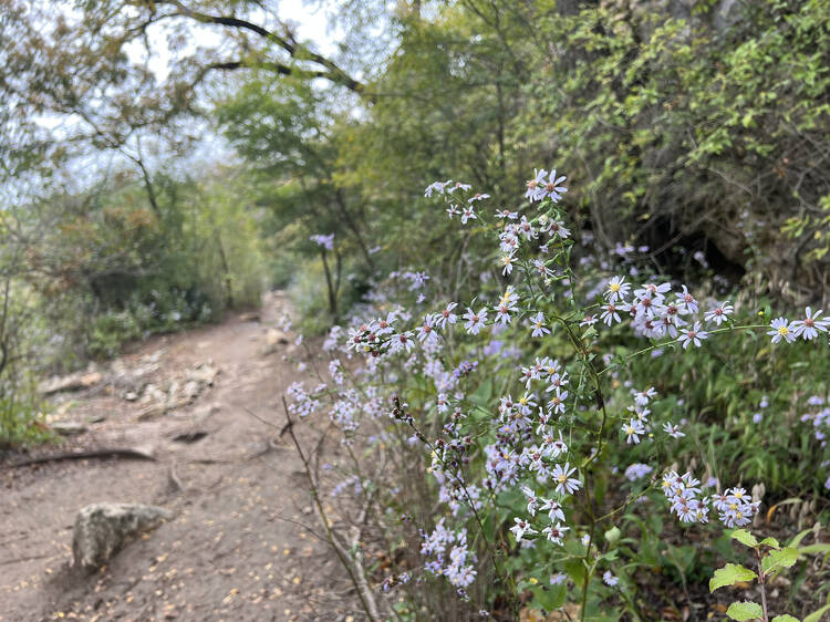 The best places to hike in Austin