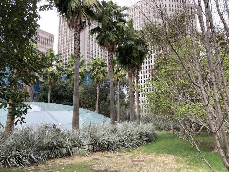 Salesforce Park