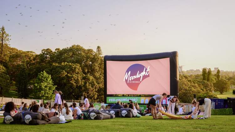 Moonlight Cinema