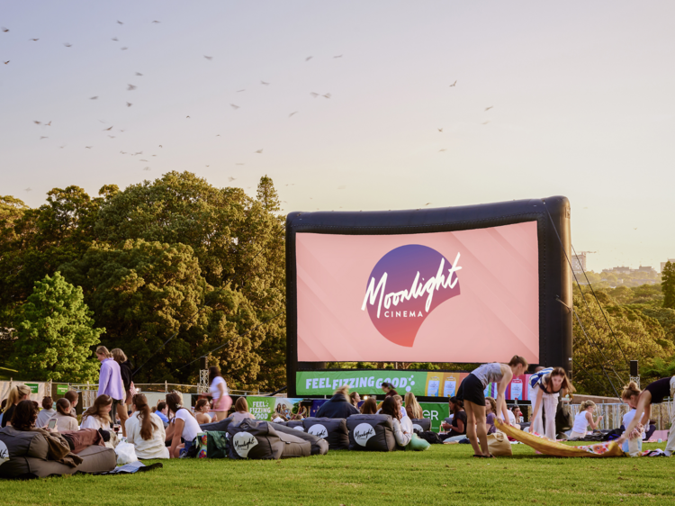 Moonlight Cinema