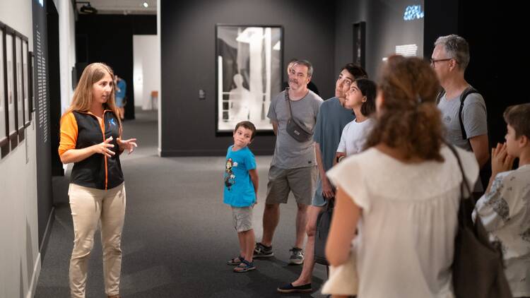 Exposicions en família