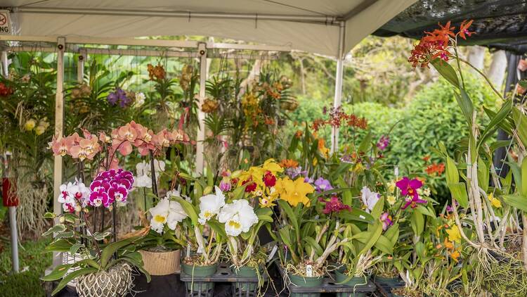 Wander the lush grounds at Fairchild Tropical Botanic Garden