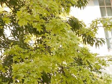 Le 5 Particulier Le 5 Particulier