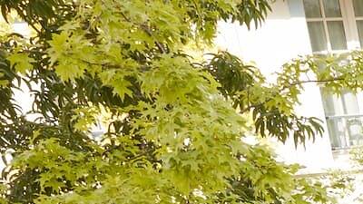 5 Particulier : un refuge chic et confidentiel aux portes de Paris 5 Particulier : un refuge chic et confidentiel aux portes de Paris