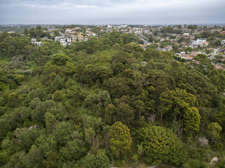 The most scenic running route in Australia is right here in Sydney