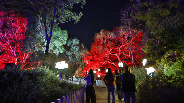 People walking down a pathway lined with colourful glowing trees