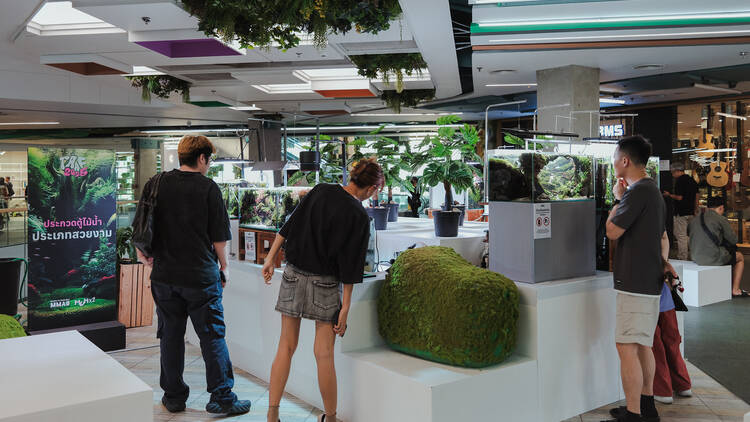 Thailand Aquascaping Art Fair 