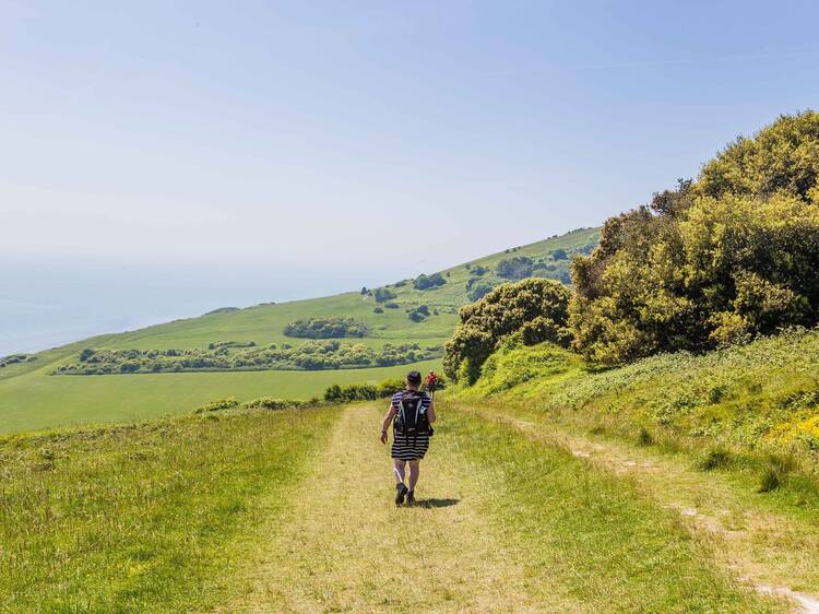 South Downs Way hiking