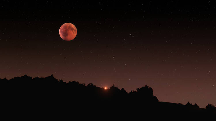 Blood moon lunar eclipse