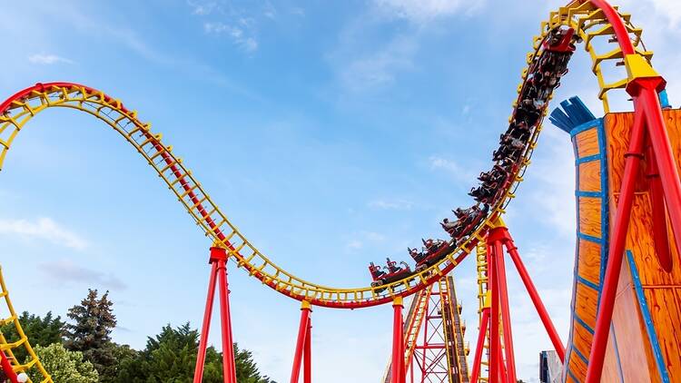 Rollercoaster at a theme park