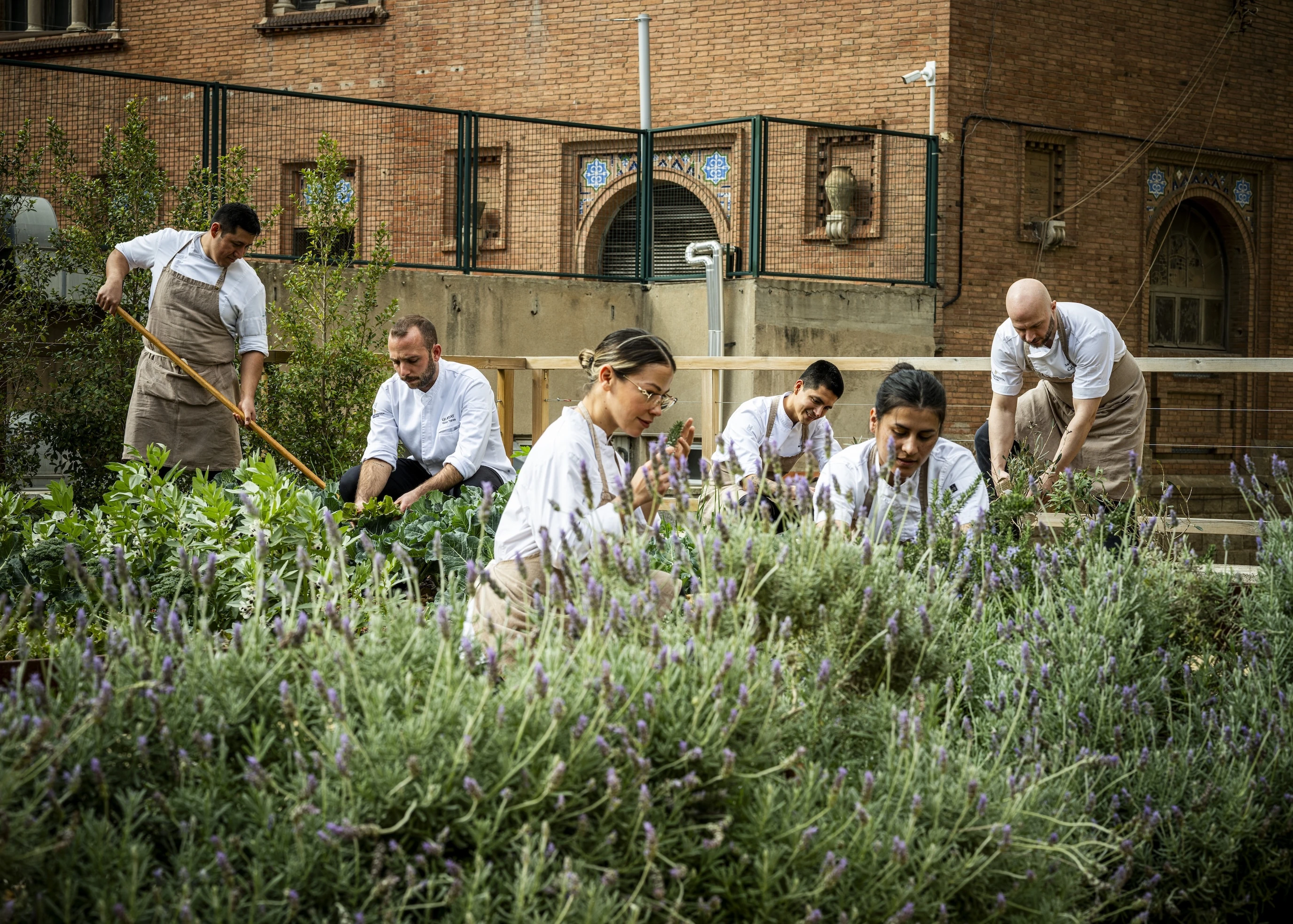 Quirat I Foto: Mikel Ponce