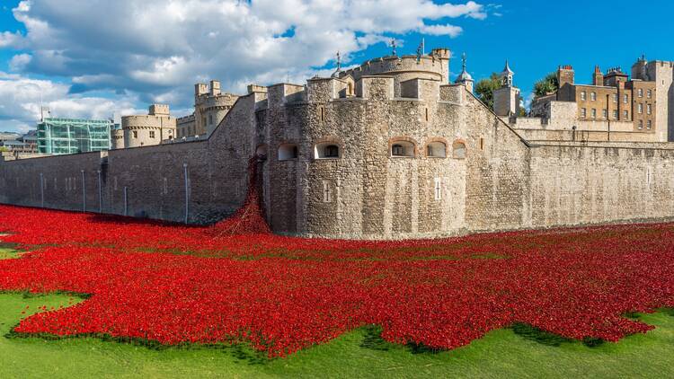 Poppies at the Tower of London