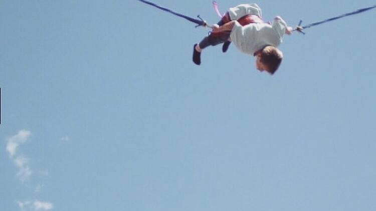 Bungeefly