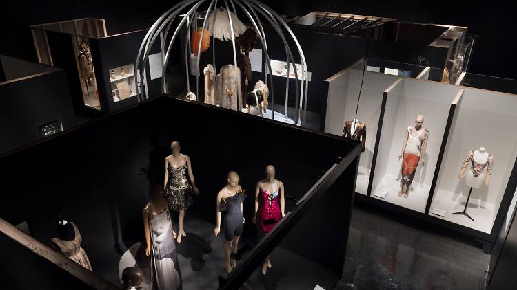 A birdseye view of Fashioning Wonder: A Cabinet of Curiosities at The Museum of FIT